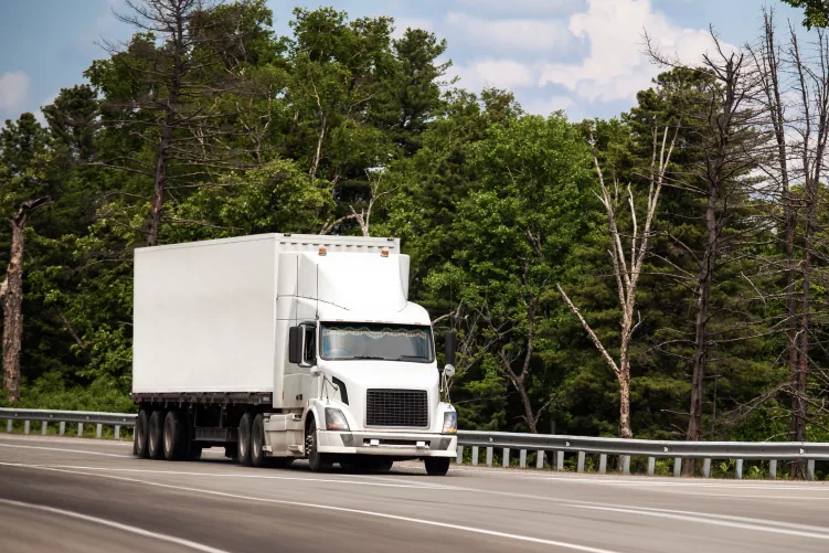 A large white semi-trailer truck driving on highway, with a dense forest of green and some bare trees lining the side of the road under a partly cloudy sky.