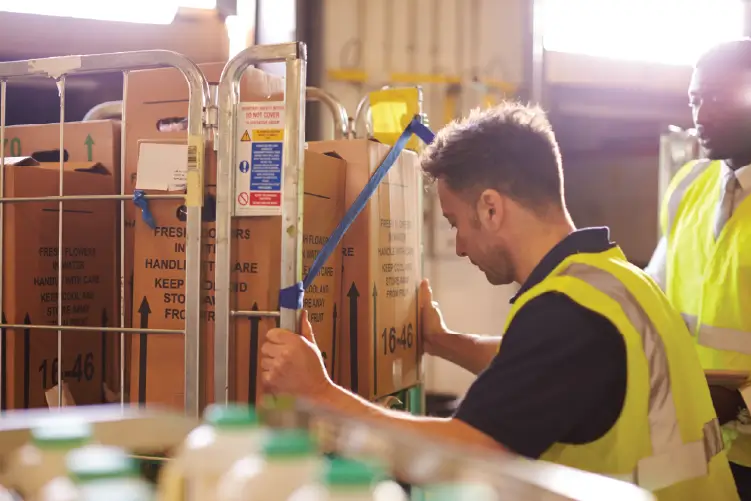 A logistics worker ensuring safe and efficient freight management