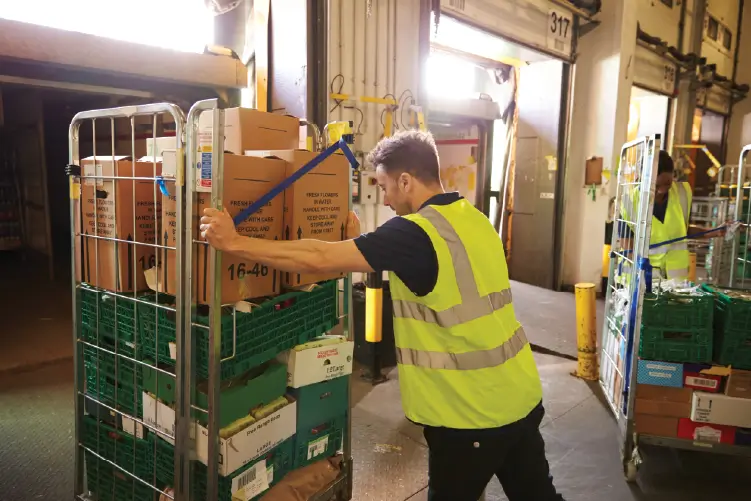employees managing logistics and package loading in a warehouse for efficient freight services